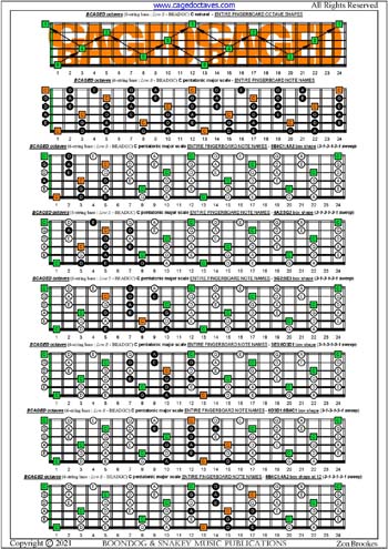 BCAGED octaves C pentatonic major scale (313131 sweeps) box shapes : entire fretboard notes